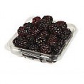 /products/ostruziny-eat-me-cerstve-1x125g-vanicka/